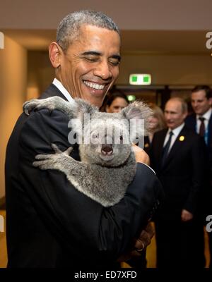 US President Barack Obama holds Jimbelung the koala before the start of the G20 Leaders Summit November 15, 2014 in Brisbane, Australia. Stock Photo