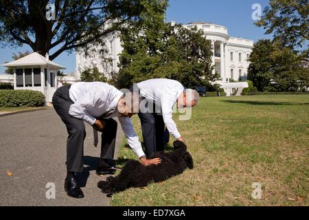 US President Barack Obama former Chief of Staff and Chicago Mayor Rahm Emanuel stop to pet dog Sunny on the South Lawn of the White House October 6, 2014 in Washington, DC. Stock Photo