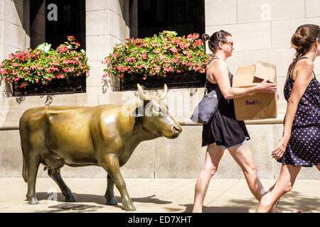 Chicago Illinois,Loop,downtown,Michigan Avenue,public art artwork,steer,cow,bronze,statue,adult adults woman women female lady,carrying box,visitors t Stock Photo