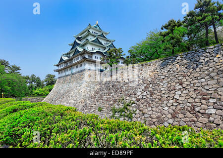 Nagoya castle atop with golden tiger fish head pair called 'King Cha Chi', Japan Stock Photo