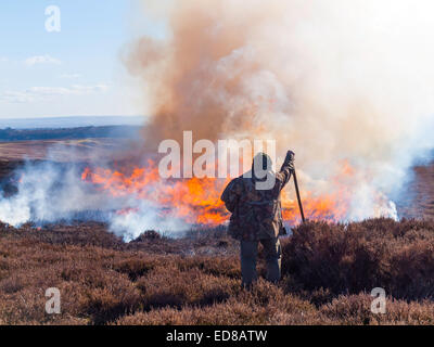 Controlled heather burning on the North Yorkshire Moors to prevent it growing long and lank which reduces its nutrition value Stock Photo