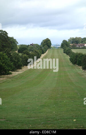 Magical magnificent views from Great park  of  Windsor castle In distance &amp; surrounding areas showing landscaped rides Stock Photo