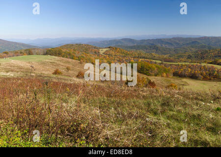 Scenic view overlooking the picturesque Appalachian Mountains and forest dressed in autumn colors, Max Patch, North Carolina Stock Photo