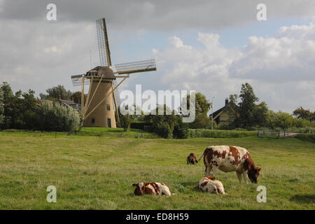 Windmill on Molenweg (N468) near Maasland in South Holland. From Weidepad, a cycle track and footpath. Stock Photo