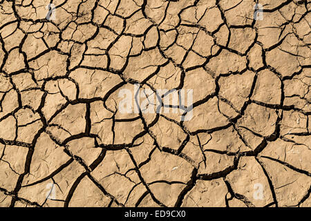 Mud cracks in the dried up seasonal lake bed, Cerknica, Slovenia Stock Photo