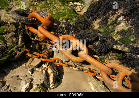 Rusty chain for moorings in Newquay harbour Stock Photo