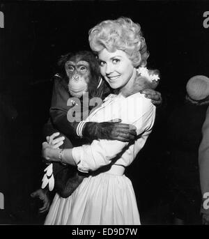 File. 2nd Jan, 2015. Donna Douglas, who played hillbilly bombshell Elly May Clampett on the baby-boomer-beloved 1960s sitcom The Beverly Hillbillies, has died in her Louisiana home. She was 81. PICTURED: Aug. 1, 2011 - DONNA DOUGLAS. © Globe Photos/ZUMAPRESS.com/Alamy Live News