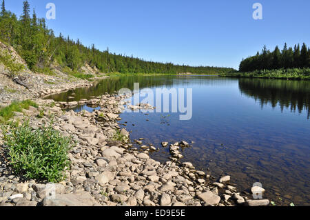 Russia Polar Urals. Virgin Komi forests, taiga river Paga. Stock Photo