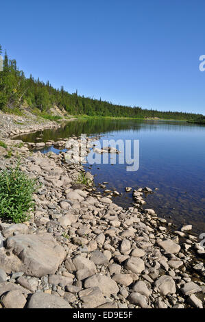 Russia Polar Urals. Virgin Komi forests, taiga river Paga. Stock Photo