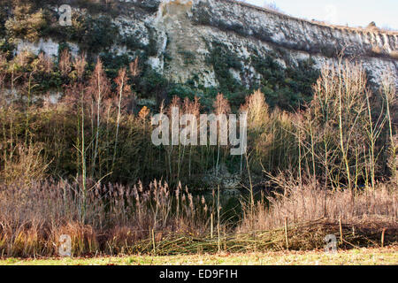 The beautiful lake and cliffs around Bluewater in North Kent Stock Photo