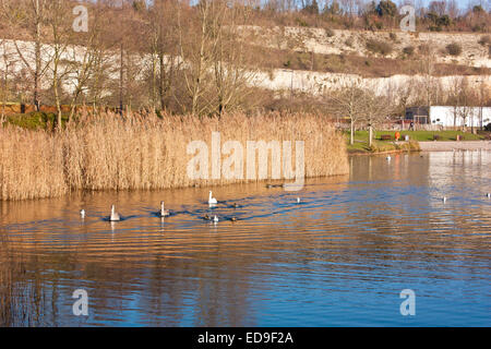 The beautiful lake and cliffs around Bluewater in North Kent Stock Photo