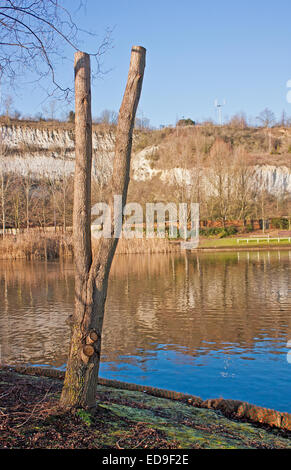 The beautiful lake and cliffs around Bluewater in North Kent Stock Photo