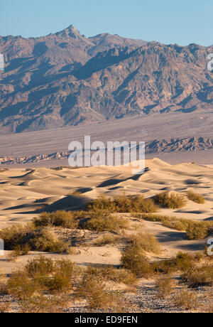 The wind piles up sand on the valley floor Stock Photo