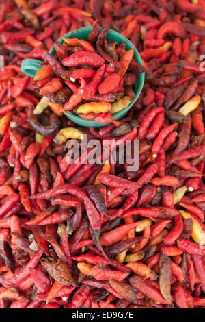 Chilis for sale in the market of Wuring fishing village near Maumere on Flores island, Indonesia. Stock Photo