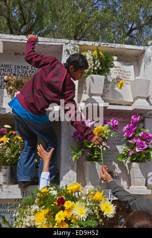 GRAVES are covered with FRESH FLOWERS to welcome loved ones back to earth during DAY OF THE DEAD -  SAN MIGUEL DE ALLENDE, MEXIC Stock Photo