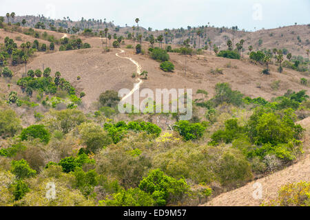 Landscape scenery of the Komodo National Park on Rinca island, East Nusa Tenggara, Indonesia. Stock Photo