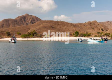 Tourist boats anchored off pink beach, part of Komodo island, East Nusa Tenggara, Indonesia. Stock Photo