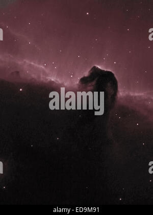 The Horsehead Nebula, Barnard 33 in the Orion constellation Stock Photo ...