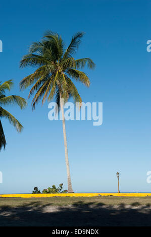 Havana, Cuba  05 December 2014  Picture by marc marnie  WORLD RIGHTS Stock Photo