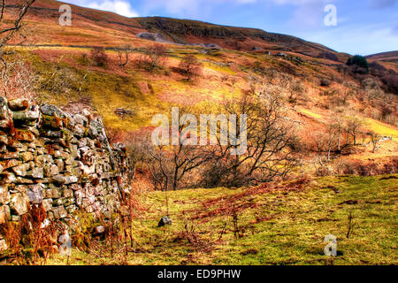 Swaledale in the Yorkshire Dales National Park, North Yorkshire some 3 miles from the small hamlet of Keld. Stock Photo