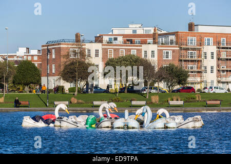 Swan shaped pleasure boats on Canoe Lake, a boating lake in Southsea, Portsmouth, UK Stock Photo