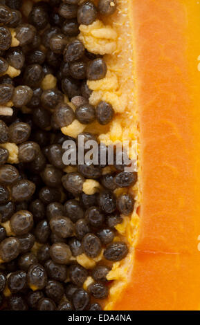 papaya fuit cut in half  background Stock Photo