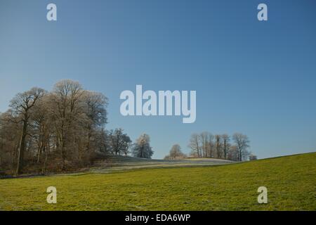 Bright frosty autumn day at Dinefwr park, National Trust site in West Wales. Stock Photo
