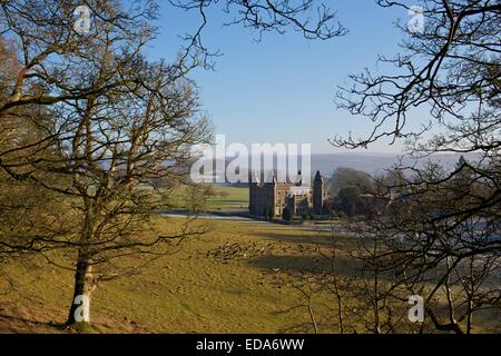 Fallow deer on woodland edges with Newton House in background on bright frosty autumn day at Dinefwr park, National Trust site. Stock Photo