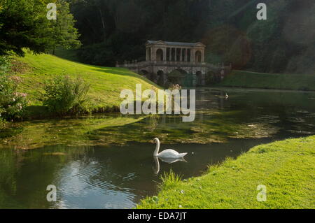 Lake and Palladian Bridge in Prior Park, Bath, with Swan, designed and built by Ralph Allen in the 18th century, Stock Photo