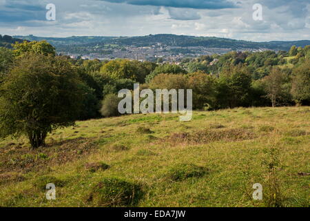 Anthill meadow in Prior Park, Bath, Stock Photo