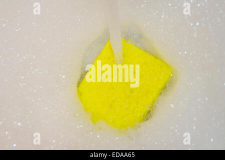 Sponge under running water Stock Photo