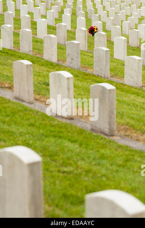 Head stones at cemetery on a Spring afternoon with grave stones in rows with flowers placed at one of the headstones Stock Photo