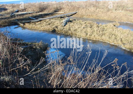 Frozen Landscape in the Sun Stock Photo