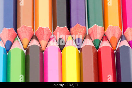 Many sharpened pencils and colored up close. Stock Photo