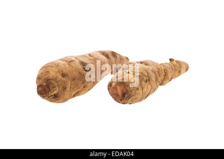 Two long jerusalem artichoke isolated on white. Stock Photo