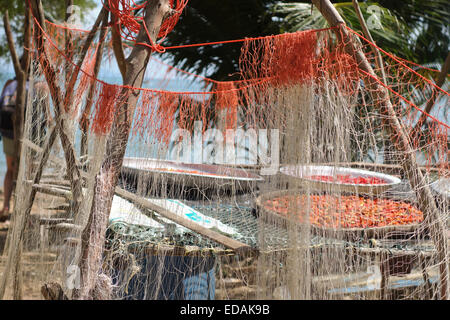 Sun dried chili peppers and dried fish on plates behind fish nets. Sea gypsies, Koh Lanta, Krabi, Thailand, South-east Asia. Stock Photo