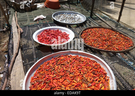 Sun dried chili peppers and dried fish on plates Sea gypsies, Koh Lanta, Krabi, Thailand, South-east Asia. Stock Photo