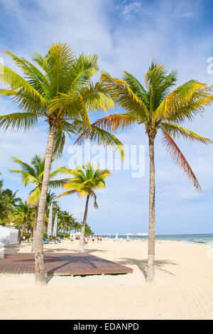 Sandy beach in Cancun, Mexico Stock Photo