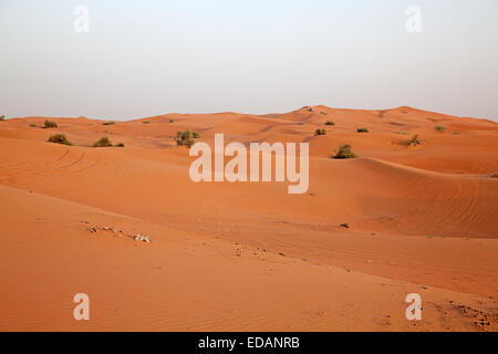 Red sand 'Arabian desert' near Dubai, United Arab Emirates Stock Photo
