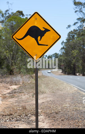 Warning sign for kangaroo in Queensland Stock Photo