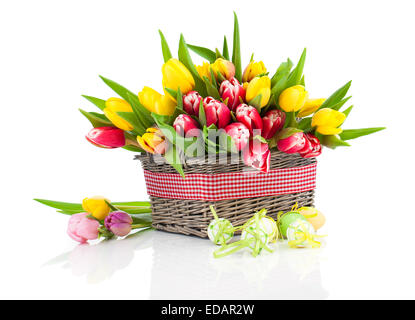 Colorful tulip blooms in a basket isolated on white
