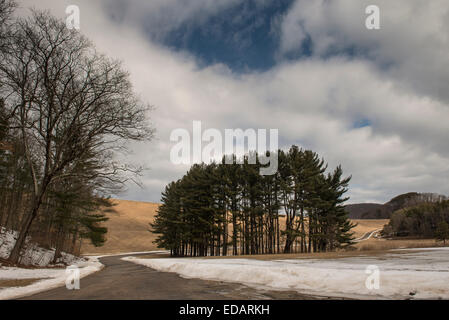 Quabbin Boats in Winter, Quabbin Reservoir Stock Photo