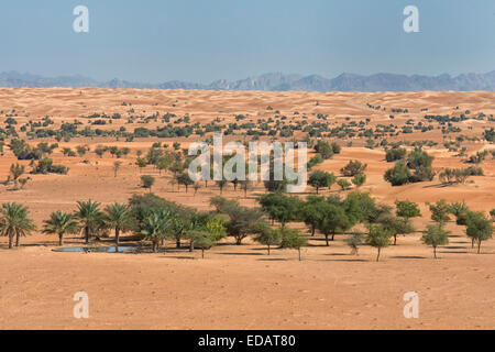 Al Maha Desert Resort in Dubai, UAE Stock Photo