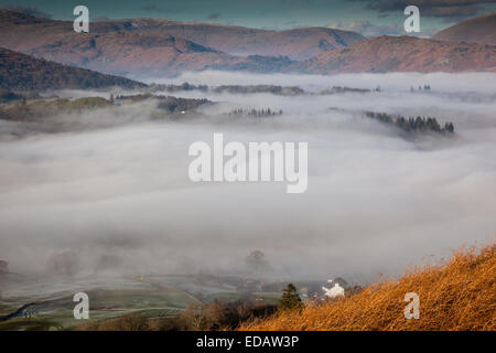Low mist above Outgate and in Langdale, as seen from the summit of Latterbarrow, near Hawkshead, Lake District, Cumbria