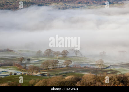 Low mist above the village of Outgate, near Hawkshead, as seen from the summit of Latterbarrow, Lake District, Cumbria