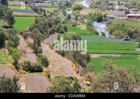 Peruvian agriculture in the Andean Highlands: Fields and terraces in the Colca Canyon in the valley formed by the Rio Colca, near Arequipa, Peru Stock Photo