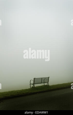 Scenic atmospheric conceptual image that depicts a bench on a winters misty day. Monochromatic ethereal scene Stock Photo
