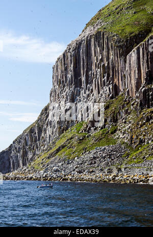 Cliffs on famous Scottish island Ailsa Craig located at the southern end of the Firth of Clyde in West Scotland Stock Photo