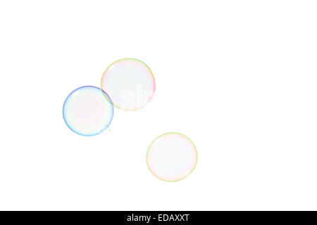 Group of soap bubbles on a white background Stock Photo