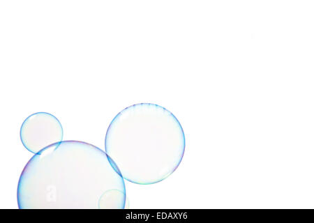 Group of soap bubbles on a white background Stock Photo